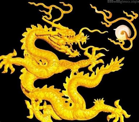 屬龍 名字